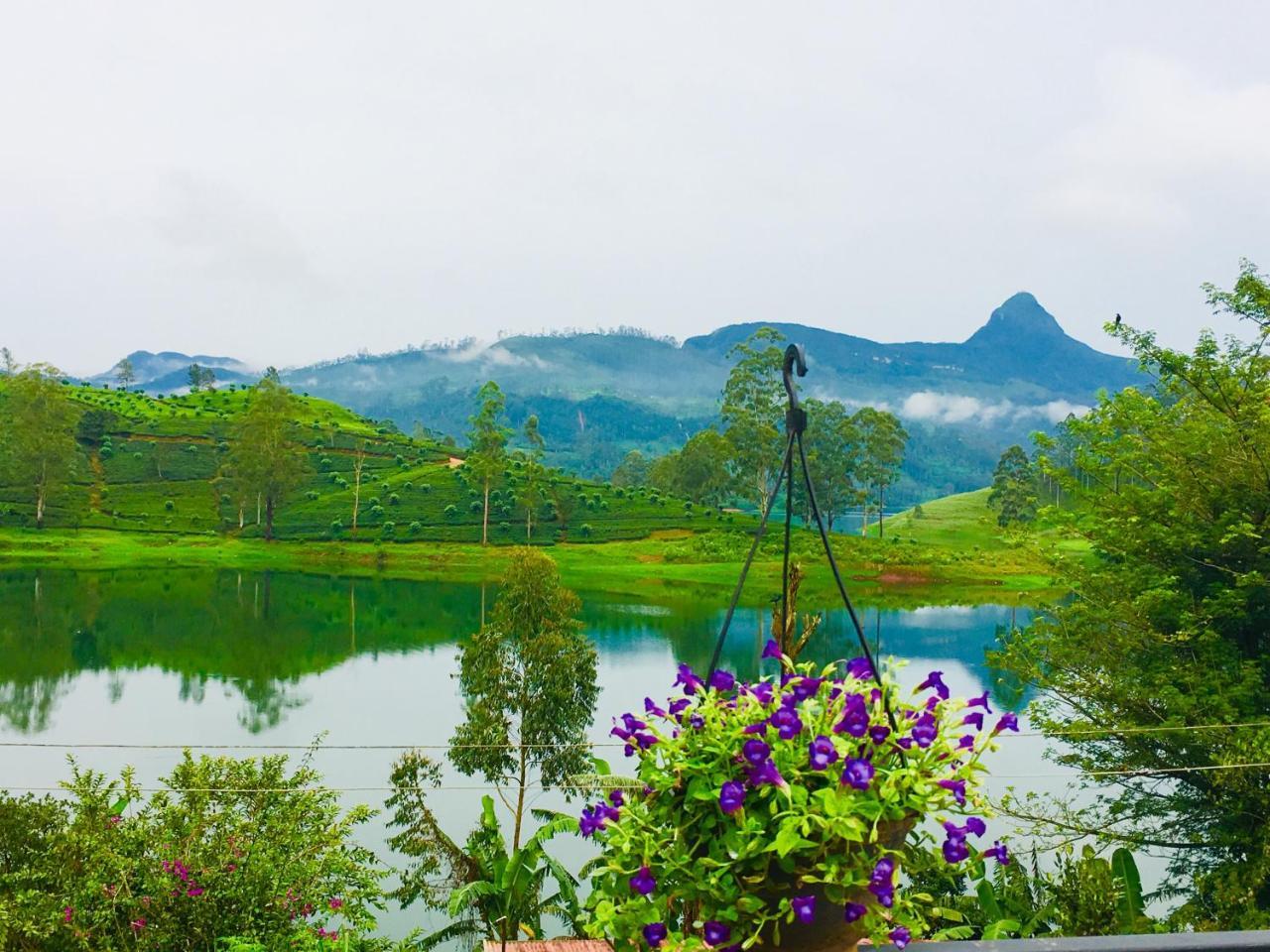 Butterfly Mountain Lake Side Maskeliya Esterno foto